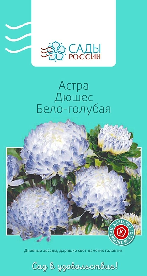 Астра Дюшес Бело-голубая из каталога Астра Астра Дюшес Бело-голубая
Классическая бело-голубая. Куст колонновидный с крепкими густооблиственными цветоносами и махровыми шаровидными соцветиями диаметром 10–12 см. Холодостойка, выносит слабые заморозки до −3 °С.