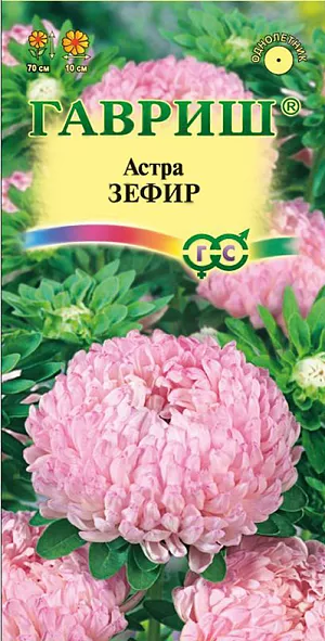 Семена Астра Зефир из каталога Астра Семена Астра Зефир.
Растение широкое, высотой до 70 см, диаметром 58 см.
Соцветия розовидные, махровые, нежно-розовой окраски, в период распускания ложноязычковые цветки в центре соцветия имеют кремовую окраску.
Для выращивания подходят хорошо освещенные участки с плодородной суглинистой или супесчаной почвой.
Астры обладают высокой холодостойкостью – хорошо переносят заморозки до -3-4°C.
Выращивают, чаще всего, рассадным способом.
Семена высевают в марте-апреле, пикируют с развитием первой пары настоящих листочков по схеме 5х5 см, в открытый грунт рассаду высаживают с середины мая до начала июня.
Возможен подзимний посев астр: в конце октября на глубину 5-8 см. Сверху посевы мульчируют торфом или опилками на высоту 3-5 см.
Весной, в конце марта-начале апреля, посевы раскрывают.
Появившиеся в конце апреля всходы будут закаленными, а выросшие растения сильными, устойчивыми к заморозкам и обильно цвести.
Используются для получения срезки и оформления участка.