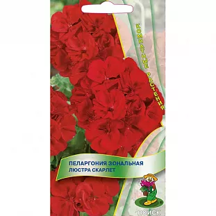 Семена Пеларгония зональная Люстра Скарлет