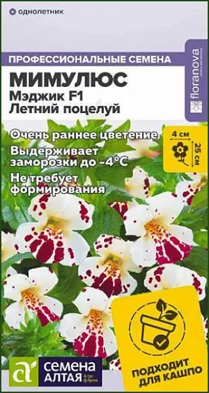 Мимулюс Мэджик Летний поцелуй из каталога Разные Семена Мимулюс Мэджик Летний поцелуй<br>
<br>
Максимально раннее цветение! Неприхотливое холодостойкое растение, выдерживает понижения температуры до -4°С. Формирует компактные хорошо ветвящиеся кустики с крупными белыми цветками, покрытыми темно-красными акцентами. Цветение обильное и продолжительное. Выращивают как в открытом грунте, так и в качестве горшечной культуры; растение идеально для балконных ящиков и бордюрных посадок.<br>