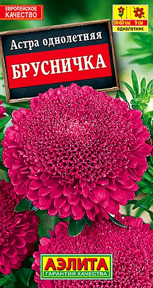 Астра Брусничка из каталога Астра Семена Астра Брусничка.
<p>
<b>Сорт ценится за редкий, выразительный оттенок</b> плотных соцветий. Не выгорает. Формирует эффектный колонновидный куст, увенчанный 7-10 одновременно раскрытыми, плотными соцветиями диаметром 8-9 см. И соцветия, и куст в целом устойчивы к неблагоприятной погоде – не травмируются сильными ветрами, не теряют вид от дождей. Универсальный сорт – кусты идеально подходят для оформления садовых цветников, а прочные, длинные цветоносы делают сорт пригодным для срезки в букеты. Холодостойкий, устойчив к фузариозу.<br>
</p>
<p>
<br>
</p>
<p>
Посев. Выращивают рассадным способом. С развитием первой пары настоящих листочков сеянцы пикируют. На постоянное место рассаду высаживают в возрасте 30-35 дней. Возможен посев семян в открытый грунт весной или под зиму, в конце октября. Растениям необходимы регулярные поливы, прополки, рыхления и подкормки.
</p>