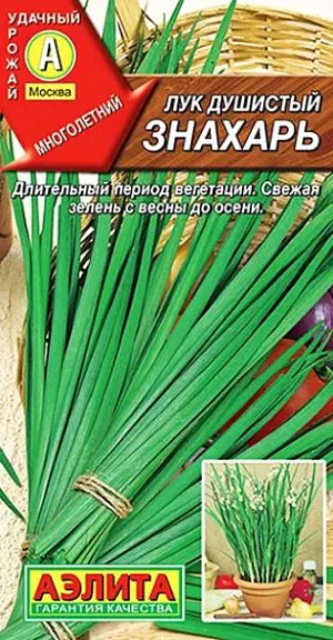 Семена Лук душистый Знахарь Семена Лук душистый Знахарь