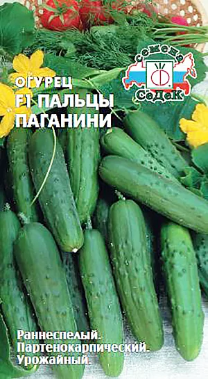 Семена Огурец Пальцы Паганини F1