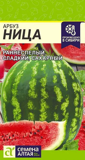 Семена Арбуз Ница
