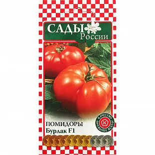 Семена Томат Бурлак F1