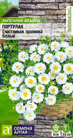 <div>
 Семена Портулак Счастливая тропинка белый.
</div>
 Крупноцветковый почвопокровный однолетник, суккулент, со стелющимися сочными побегами высотой 20-25 см. При выращивании в саду, образует небольшие аккуратные коврики, в период цветения сплошь покрытые изысканными шелковистыми белоснежными полумахровыми цветками с ярким центром. Цветки крупные, до 6 см в диаметре. Станет прекрасным дополнением ассортимента клумбовых и балконных растений, также активно выращивают в качестве ампельного растения, в саду им украшают рабатки, альпийские горки. Свето- и теплолюбивое, засухоустойчивое растение, предпочитает легкие дренированные известкованные почвы без избытка органики. На рассаду семена высевают с конца февраля. <br>
 <br>
 Готовится смесь из садовой земли и песка в соотношении 4:1. Готовый грунт необходимо прокалить в духовке и распределить по рассадным контейнерам, на дно предварительно укладывается дренаж. Семена не заделывают, а лишь слегка вдавливают в субстрат. Для получения наилучшего результата посев рекомендуем проводить в торфяные таблетки (одно драже в таблетку). Посевы накрывают стеклом и помещаю в теплое место с температурой не менее +22оС. Всходы появляются на 7-14 день, им требуется дополнительная подсветка фитолампой. Увлажнять посевы следует отстоянной водой. При появлении двух настоящих листочков сеянцы пикируют по три ростка в стаканчики диаметром 7-8 см. При пересадке следить, чтобы на корнях оставался земляной ком. Приживаться в новом контейнере ростки будут около недели. Далее рекомендуется внести первую подкормку. В открытый грунт рассаду высаживают в мае сразу на постоянное место. Посадочный интервал 20-30 см. Растение устойчиво к болезням и вредителям. <br>
 <br>
 <b>Внимание! Семена заключены в мультидраже. Оболочку драже не разрушать! Одно мультидраже содержит 3-5 семян. Благодаря этому при пикировке растение высаживается плотными пучками.</b>