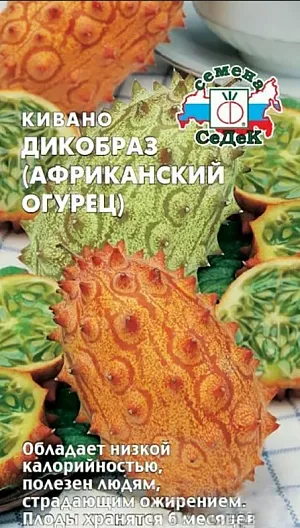 Семена Кивано Дикобраз
