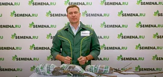 Саженцы плодовых культур от интернет-магазина SEMENA.RU. Ответы на вопросы.