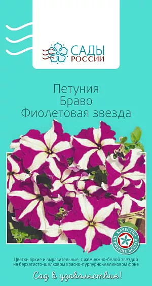 Петуния крупноцветковая Браво Фиолетовая звезда 10 шт из каталога Петуния Петуния крупноцветковая Браво Фиолетовая звезда
Уникальная серия гибридных крупноцветковых петуний. Отличается ранним обильным и продолжительным цветением, выносливостью к погодным условиям и длине светового дня. Растения компактные, хороши как в открытом грунте, так и горшках. Теплолюбива. Рассаду высаживают в грунт после того, как минует угроза возвратных заморозков.