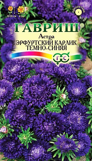 <div>
 Семена Астра Эрфуртский карлик Темно-синяя.
</div>
 Растение высотой до 30 см. Куст компактный, цилиндрический, стебли плотные. Соцветия темно-синей окраски диаметром 6-8 см. Для выращивания подходят хорошо освещенные участки с плодородной суглинистой или супесчаной почвой. Астры обладают высокой холодостойкостью – хорошо переносят заморозки до -3-4°C. Выращивают, чаще всего, рассадным способом. <br>
 <br>
Семена высевают в марте-апреле, пикируют с развитием первой пары настоящих листочков по схеме 5х5 см., в открытый грунт рассаду высаживают с середины мая до начала июня. Возможен подзимний посев астр: в конце октября на глубину 5-8 см. Сверху посевы мульчируют торфом или опилками на высоту 3-5 см. Весной (в конце марта-начале апреля) посевы раскрывают. Появившиеся в конце апреля всходы будут закаленными, а выросшие растения сильными, устойчивыми к заморозкам и обильно цвести. Используются для получения срезки и оформления участка.
