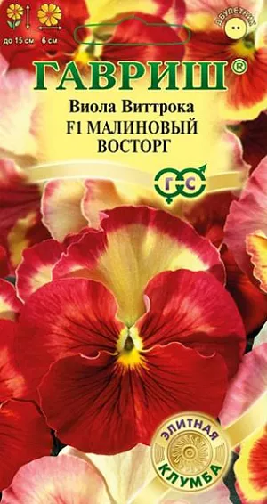 Семена Виола Малиновый восторг F1 из каталога Виола <div>
Семена Виола Малиновый восторг F1.
</div>
<article>
<p>
Потрясающая по красоте крупноцветковая виола из итальянской серии «F1 Акварель»! Роскошное сочетание сочного малинового и желтого оттенков, меняющаяся интенсивность окраски от цветка к цветку, все это придает гибриду неповторимую притягательность. Истинные ценители прекрасного, безусловно, оценят такое изысканное украшение для балкона, садовых ваз, клумб и рабаток. Цветет обильно и продолжительно с мая по сентябрь. Растение влаголюбивое, холодостойкое, хорошо растет на солнце и в полутени. Для получения растений, цветущих в год посева, семена высевают на рассаду в феврале-марте. Всходы появляются через 5-7 дней. В открытый грунт рассаду высаживают в конце апреля-начале мая на расстоянии 20 см. Хорошо переносят пересадку в цветущем состоянии. При посеве в открытый грунт в июне-июле, цветение наступает во второй год.
</p>
</article>