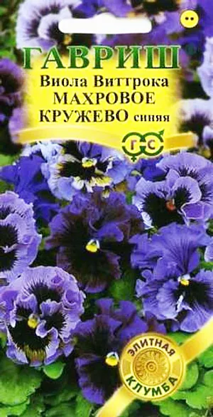 Семена Виола Махровое кружево синее.
Непревзойденная по красоте виола, двулетник. 
Высота растений до 20 см. Цветки синие с темным рисунком, крупные, до 6- 8 см в диаметре. 
Лепестки с фантастической гофрировкой, украшены рюшами. Ровный габитус, улучшенная форма растений, раннее и обильное цветение позволяют широко использовать эту виолу в профессиональном плане.
Цветет обильно и продолжительно с мая по сентябрь. Влаголюбива, холодостойка, хорошо растет на солнце и в полутени. 
Для получения растений, цветущих в год посева, семена высевают на рассаду в феврале-марте. Всходы появляются через 5-7 дней. 
В открытый грунт рассаду высаживают в конце апреля-начале мая на расстоянии 20 см. 
Растения хорошо переносят пересадку в цветущем состоянии. При посеве в открытый грунт в июне-июле, цветение наступает во второй год.
Используют для посадки массивами, на клумбы, рабатки, в балконные ящики и садовые вазы.
