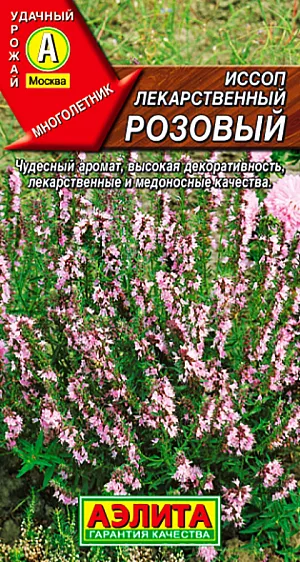 Иссоп лекарственный розовый Иссоп лекарственный розовый