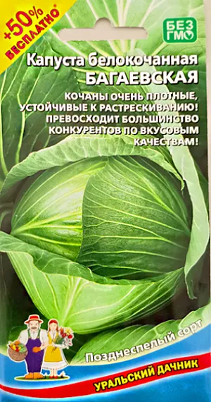 Семена Капуста белокочанная Багаевская Семена Капуста белокочанная Багаевская