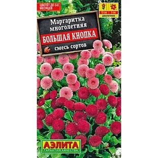 Маргаритка Большая кнопка