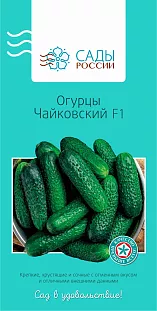 Семена Огурец Чайковский F1