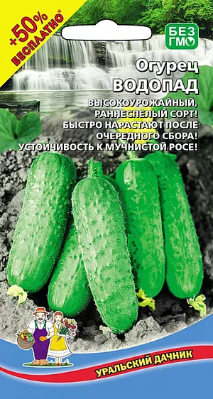 Семена Огурец Водопад