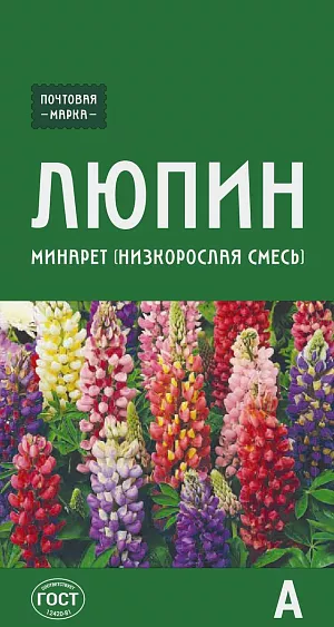 Семена Люпин многолистный Минарет (низкорослая смесь) из каталога Люпин Семена Люпин многолистный Минарет (низкорослая смесь)
Жизнестойкий, статный, яркий красавец. Растет, как говорится, без забот и без хлопот. Растение прямостоячее, невысокое, с пальчато-сложными листьями и нарядными пирамидальными соцветиями длиной до 30 см разнообразных розово-сиреневых, сине-фиолетовых и других оттенков. Эффектно смотрится в групповых посадках на газоне, около кустарников, в центре клумб, рядом с домом или постройками.