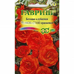 Бегония Скарлет Нон-Стоп клубневая F1