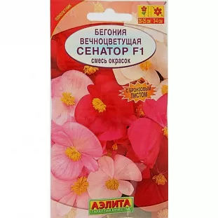 Бегония вечноцветущая Сенатор F1, смесь сортов