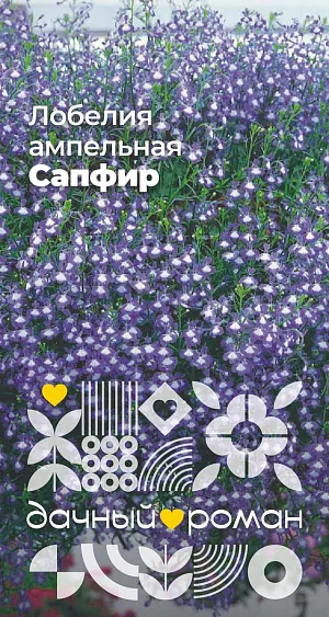 Семена Лобелия ампельная Сапфир

Очень красивое каскадное растение с побегами длиной до 30 см. Побеги изящные, ветвистые, ниспадающие. Листья зеленые, ланцетные. Цветки небольшие, до 2 см, ярко-синие с белым глазком в центре. При небольшом уходе цветет все лето в подвесных корзинах, вазонах как балконное растение. В садовых цветниках приобретает стелющуюся форму высотой всего 10 см.