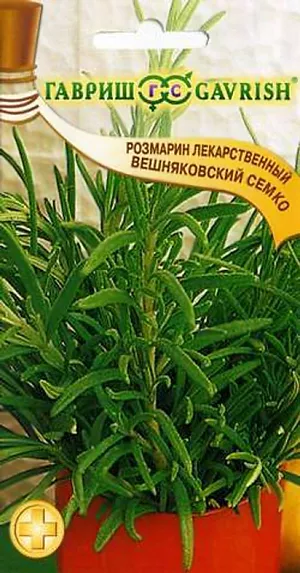 Розмарин лекарственный Вишняковский семко