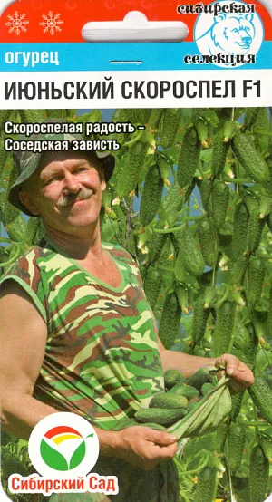 Семена Огурец Июньский скороспел F1