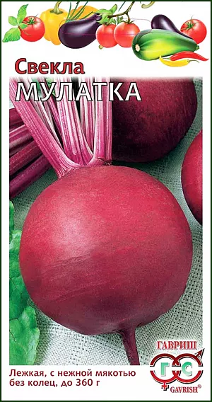 Семена Свекла Мулатка