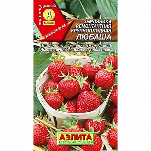 Семена Земляника (клубника) ремонтантная крупноплодная Любаша