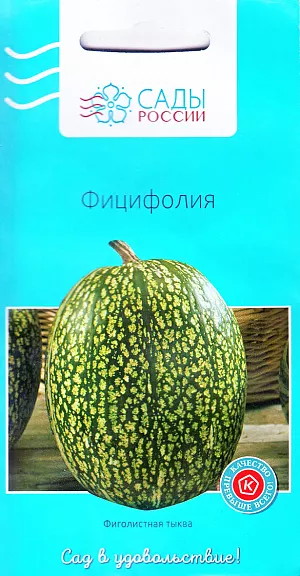 Семена Фицифолия (тыква фиголистная) Семена Фицифолия (тыква фиголистная)