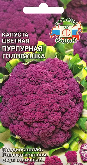 Семена Капуста цветная Пурпурная головушка Семена Капуста цветная Пурпурная головушка