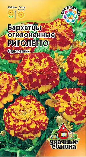 Бархатцы Риголетто отклоненные из каталога Бархатцы Семена Бархатцы Риголетто отклоненные.<br>
Одно из самых распространенных однолетних растений семейства Астровые. Образует компактный густоветвящийся куст высотой 20 см.<br>
Соцветия золотисто-желтые с коричневыми пятнами. Цветет с июня по сентябрь. Светолюбивы и теплолюбивы, заморозков не переносят. <br>
К почвам нетребовательны, но предпочитают плодородные легкие почвы. Выращивают, как правило, рассадным способом. Посев проводят во второй половине марте - начале апреля. Всходы появляются через 4-8 дней после посева, сеянцы пикируют в фазе 2-го настоящего листа. Рассаду высаживают в начале июня, расстояние между растениями 20 см. Используют для посадки на клумбах, рабатках, бордюрах, в балконные ящики, можно использовать как горшечную культуру.