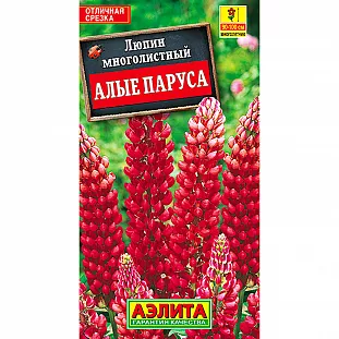 Семена Люпин Алые паруса Семена Люпин Алые паруса