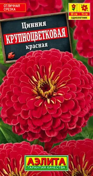 Семена Цинния Крупноцветковая красная.
Неприхотливое, всеми любимое садовое растение, высотой до 90 см. Соцветия георгиновидные O13-15 см, красные, на прямых прочных стеблях. Цветение обильное и продолжительное, с июня до заморозков. Каждый цветок держится на растении до 30 дней. Используют для посадки в пестрые цветники и для срезки. Срезанные цветы долго стоят в воде. Агротехника. Выращивают рассадным способом. С развитием первой пары настоящих листочков сеянцы пикируют. В фазе 5-6 листьев проводят формирующую прищипку. Рассаду высаживают в открытый грунт, когда минует опасность заморозков. Растениям необходимы регулярные поливы, прополки, рыхления и подкормки. Возможен посев семян в открытый грунт на глубину1 см. 