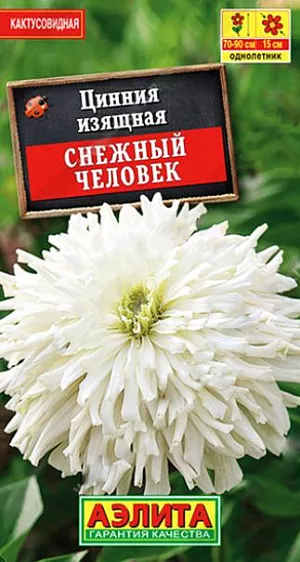 Семена Цинния кактусовидная Снежный человек. Эффектный сорт с белоснежными крупными соцветиями. Густомахровые, кактусовидные цветки достигают диаметром 13-15 см! Кусты высотой 70-90 см, прочные, обильно ветвятся, не теряют форму при воздействии ветра и дождя. Каждый цветок сохраняет декоративность более месяца, не утрачивая свежесть оттенка. Растения неприхотливые, однако от засухи, а также при выращивании на малоплодородной почве, соцветия могут мельчать. Пышное цветение длится до заморозков.<br>
 <br>
  С развитием первой пары настоящих листочков сеянцы пикируют. В фазе пяти-шести листьев проводят формирующую прищипку. Возможен посев семян в открытый грунт на глубину 1 см.<br>
 <br>
 <br>
 <br>
 <br>