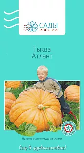 Тыква Атлант