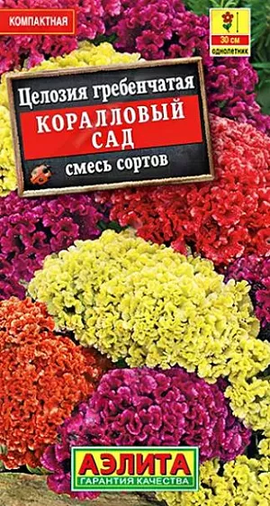 Семена Целозия гребенчатая Коралловый сад. Быстрорастущая, компактная смесь популярного летника с неповторимой цветовой палитрой. Стебли прямостоячие, хорошо облиственные, высотой до 30 см. Оригинальные соцветия напоминают петушиный гребень. Растения используют для групповых посадок в цветниках и для выращивания в контейнерах. Засушенные соцветия – отличный материал для зимних букетов.<br>
 <br>
  Семена располагают на поверхности почвы, не заделывая их, увлажняют из распылителя и накрывают контейнер стеклом до всходов. С появлением всходов необходимо регулярное проветривание. В фазе одной пары настоящих листочков сеянцы пикируют в отдельные горшочки.<br>
 <br>
 <br>
 <br>
 <br>