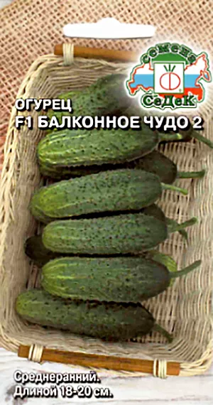 Семена Огурец Балконное чудо 2 F1