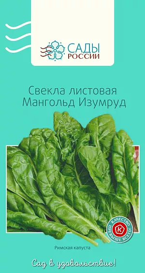 Свёкла листовая Мангольд Изумруд 1гр
