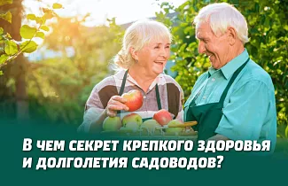 В ЧЕМ СЕКРЕТ КРЕПКОГО ЗДОРОВЬЯ И ДОЛГОЛЕТИЯ САДОВОДОВ