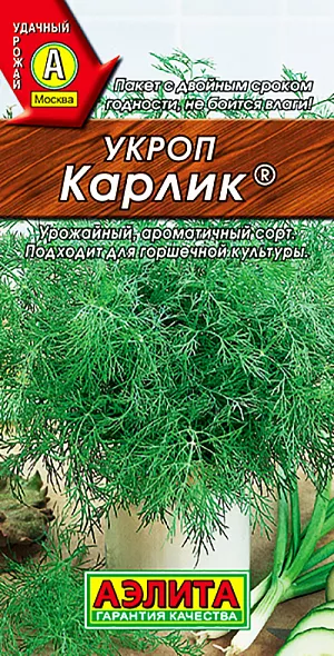 Укроп Карлик Укроп Карлик