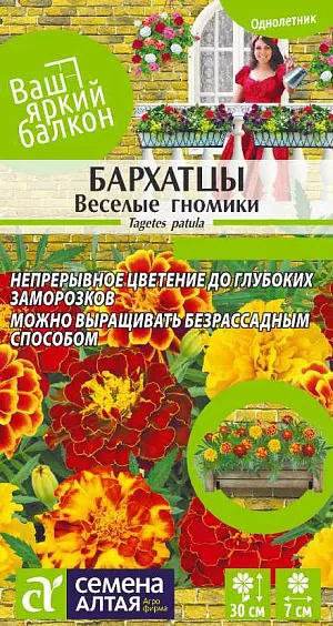 Бархатцы Веселые гномики махровые из каталога Бархатцы Семена Бархатцы Веселые гномики махровые
Декоративный обильноветвящийся однолетник, высотой до 30 см, с красивыми резными листьями. Ярко-цветущая смесь с соцветиями от лимонно-желтых до красно-коричневых оттенков. Обильное и продолжительное цветение, неприхотливость, легкая пересадка обеспечивают бархатцам популярность при оформлении самых различных участков. Являются отличным украшением парадных цветников, клумб, балконов, также выращивают и среди посадок огородных растений для отпугивания вредителей.
Неприхотливое, засухоустойчивое и светолюбивое растение, выносит небольшое затенение.