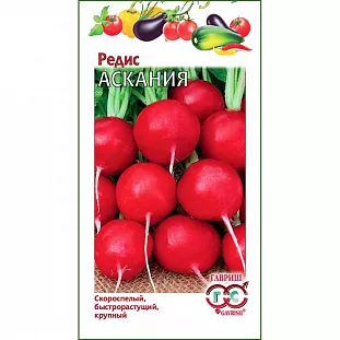 Семена Редис Аскания