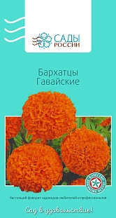 Бархатцы африканские Гавайские Бархатцы африканские Гавайские