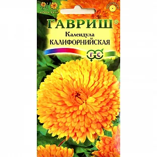 Календула Калифорнийская