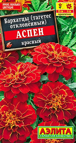 Семена Бархатцы Аспен красный.
Вашему вниманию предлагается уникальная, завораживающая новинка из очаровательных представителей бархатцев. Восхитительно крупные цветки с ослепительно яркими лепестками порадуют своей оригинальностью и изысканностью, а пышность цветения продлится все лето. Благодаря устойчивости к непогоде, прекрасно держат форму и заслуживают центрального места в балконных ящиках, контейнерах и вазонах.
Агротехника. Выращивают рассадным способом. Посев проводят в первой половине апреля. Всходы появляются через 4-8 дней после посева, сеянцы пикируют в фазе 1-2-х настоящих листьев. Рассаду высаживают в конце мая – начале июня. Схема посадки 30х30 см. Возможен посев семян в открытый грунт в мае на глубину 1,5-2 см. Для продолжительного и обильного цветения растениям необходим своевременный полив, регулярная прополка, рыхление и подкормка минеральными удобрениями.