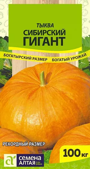 Семена Тыква Сибирский гигант