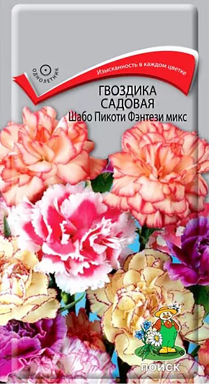 <div>
 Семена Гвоздика садовая Шабо Пикоти Фэнтези микс.
</div>
 Цветки крупные, диаметром 4-6 см., махровые, душистые. Многолетнее растение, выращиваемое как однолетнее. Кустики компактные высотой 60 см. Листья с серым или голубым налётом. Края лепестков зазубренные. Цветет с июля по октябрь. Используют в цветниках и для срезки.<br>
 <br>
 <b> Агротехника</b>. Растение предпочитает открытое солнечное место. Переносит заморозки до минус 2-3 °С. Почвы предпочитает дренированные, рыхлые. Посев семян производят в январе-феврале в ящики, слегка присыпав их влажным песком. Посадочную емкость накрывают стеклом и ставят в освещенное место. При температуре почвы +18-20°С всходы появляются через 7-14 дней. Сеянцы пикируют в фазе двух-трех настоящих листьев. На постоянное место рассаду высаживают в мае, выдерживая расстояние между растениями 25-30 см. Семена соответствуют требованиям международных стандартов и ГОСТу РФ 12260-81