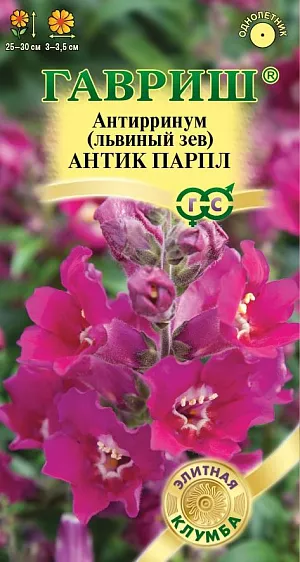 Семена Львиный зев (Антирринум) Антик Парпл<br>
 <br>
 Антирринум частый гость пышных цветников, заслуживший любовь нарядными цветами необычной формы с богатой и яркой палитрой окрасок. Новая необыкновенная серия Антик с удивительными открытыми азалиевидными цветками с волнообразным краем, что создает эффект махровости, и приятным ароматом станет достойным украшением вашего сада. Интенсивно ветвящейся кустик, достигающий в высоту 25-30 см, буквально усыпан крупными цветками, собранными в кистевидные соцветия сочных, насыщенно-пурпурных оттенков со светлой  серединкой. Цветение продолжительное и обильное с июня до заморозков. Будучи неприхотливым растением, львиный зев нуждается лишь в стандартных процедурах по уходу за растениями: правильный полив, рыхление грунта, подкормка и удаление сорняков. Выращивают рассадным способом. <br>