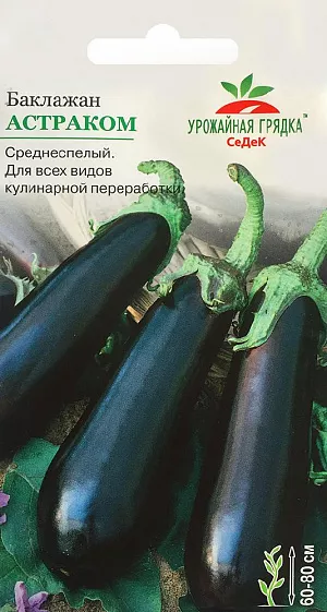 Семена Баклажан Астраком